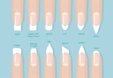 Nail Anatomy 101: A Complete Guide for Nail Art Enthusiasts